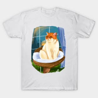 Kitty cat on the seat curious T-Shirt